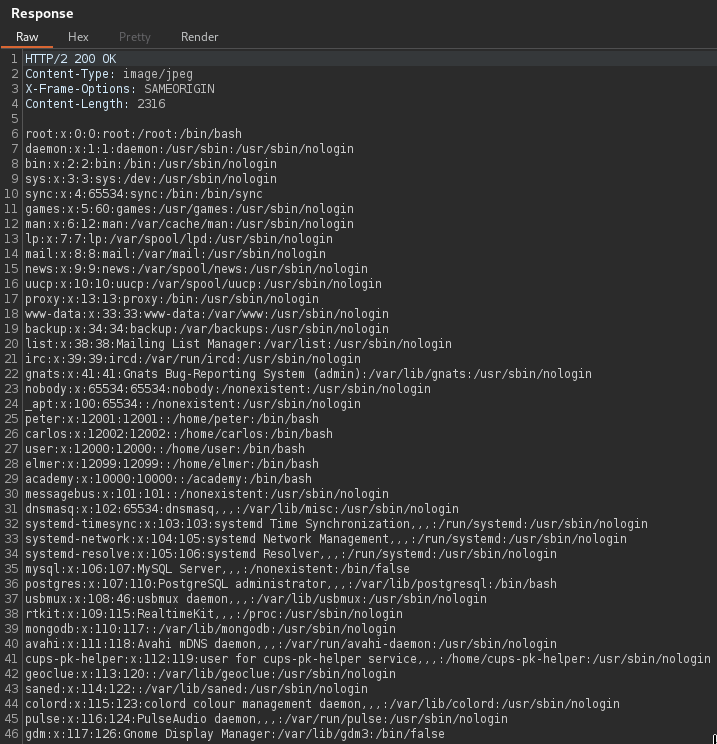 directory-traversal_response_burp